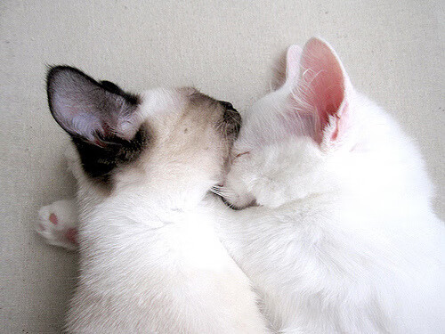 开云体育入口-中超联赛国足惨败 球迷要求加强防线，中超联赛国足惨败 球迷要求加强防线防守