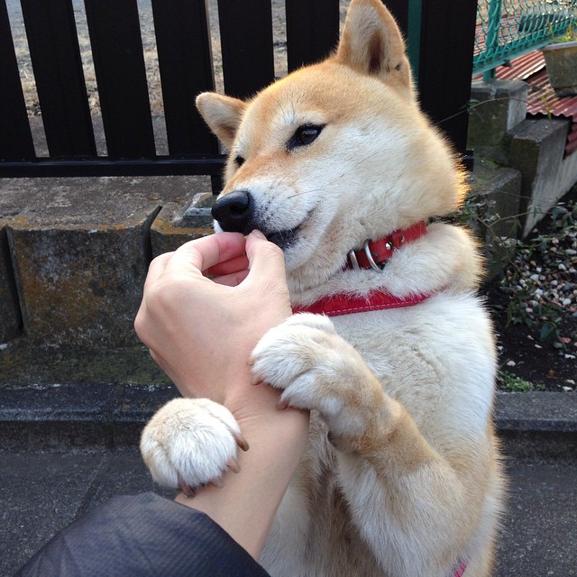 国际热身赛中国女足逆袭 球迷充满信心，中国女足热身赛直播