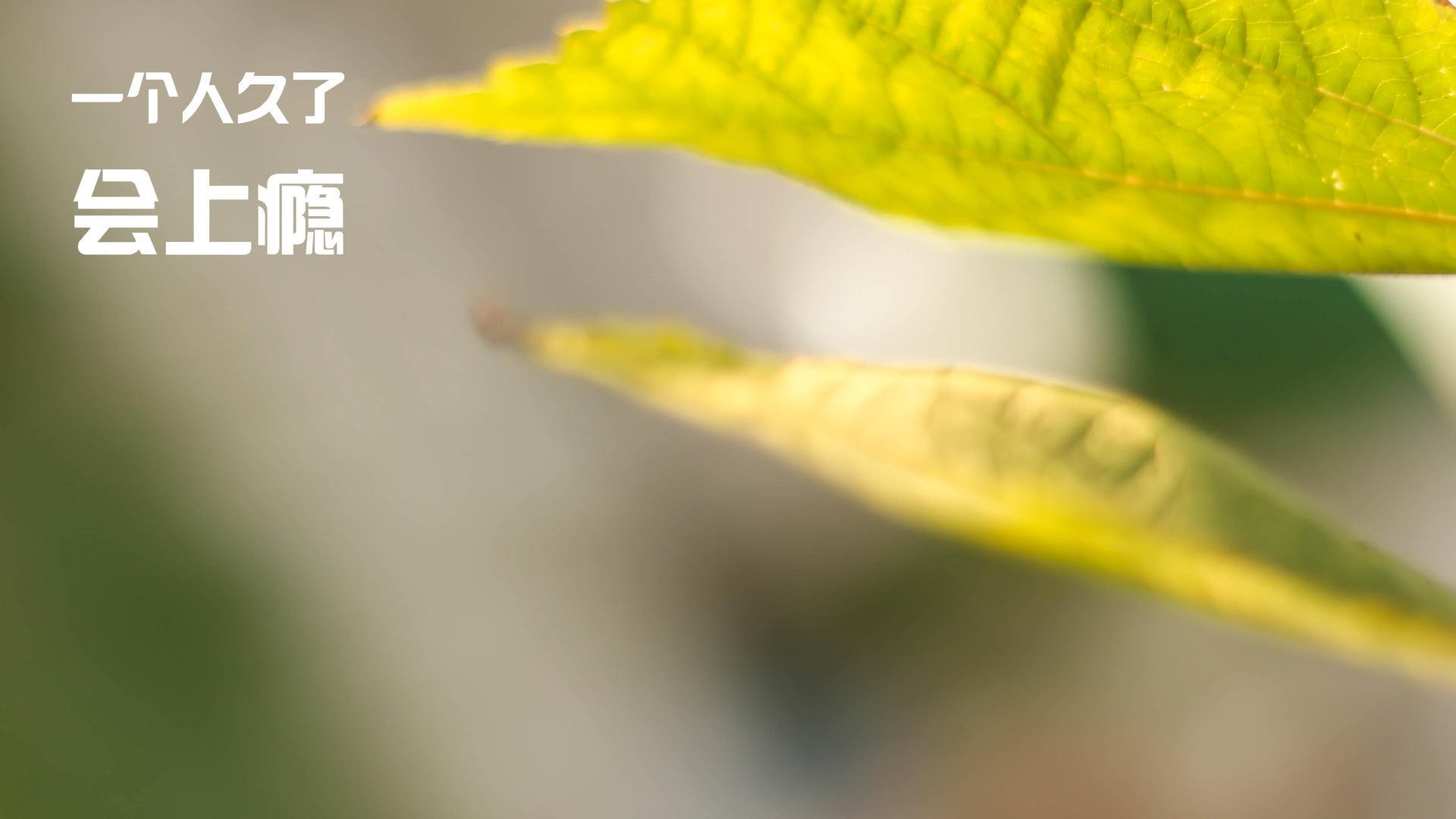 体育新闻平台整合资源提供一站式信息服务便捷高效，体育新闻网址大全